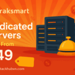 Raksmart Dedicated Servers Start From $49/month